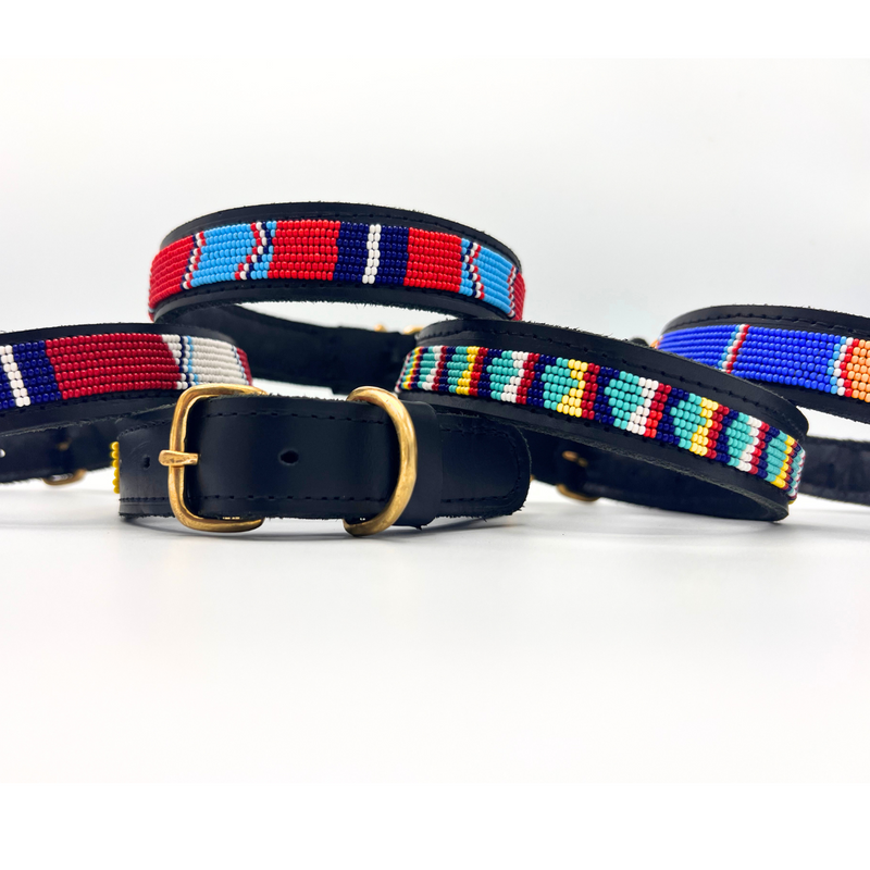 Dog Collar . colourful Maasai beaded . leather, brass and beads .